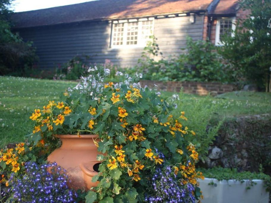 Oak House Farm Edenbridge Exterior foto