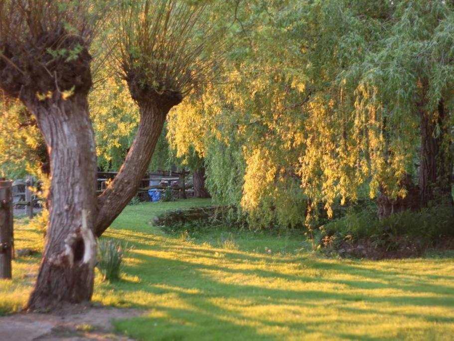 Oak House Farm Edenbridge Exterior foto